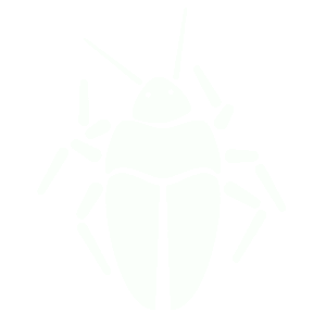 Logo The Hexapods` Studio